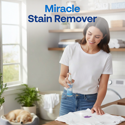 Stain Spray Bundle - 4 Pack